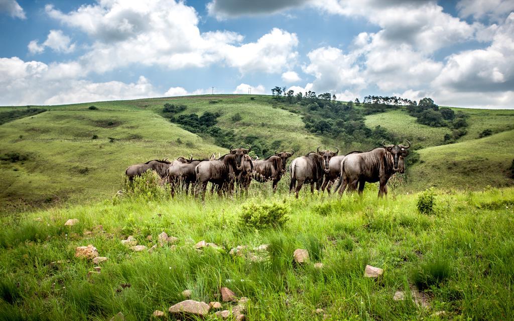 Gwahumbe Game & Spa Mid Illovo ภายนอก รูปภาพ